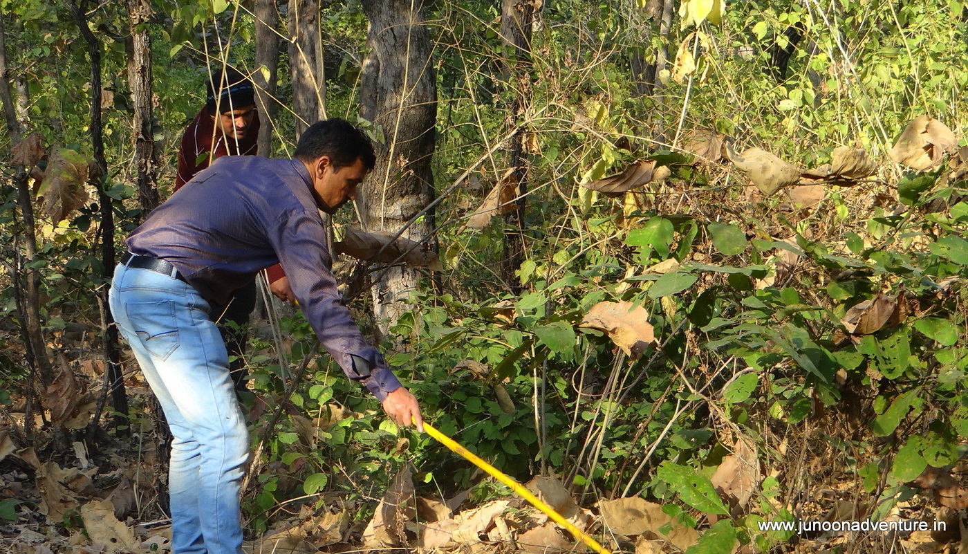 Team Building Programs in Tamil Nadu » Junoon Adventure